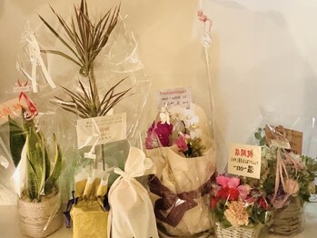 骨格美容サロン/新店舗オープン