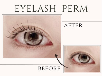 ウィング 赤坂(Wing.)の写真