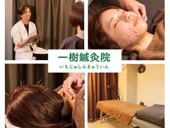 一樹鍼灸院
