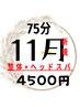 【11月限定◆免疫UP】自律神経を整えるドライヘッドスパ付◆全身整体75分
