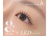 【最新技術★口コミ投稿で限定価格】LED120本×アンドヘルシー¥12,400