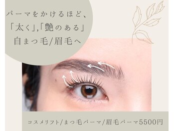 エステ ド あーと/まつ毛パーマ/アイブロウ