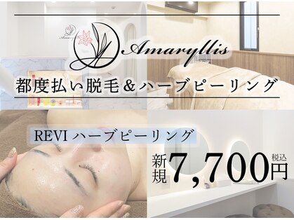 アマリリス(Amaryllis)の写真
