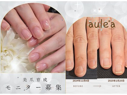 ラウレア(laule'a)の写真