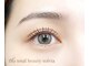 ソルビア(solvia)の写真