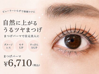リム(Lim)の写真