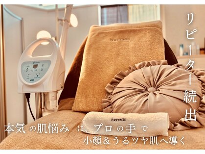 アルテミス(ARTEMIS)の写真