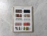 【OPEN記念新規クーポン】 Elpia Selectコース　7500→6000