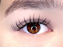 ラッシュガーデン(Lash Garden)/LEDフラットラッシュ120本