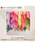 サイアートパーソナルカラー診断　￥15,000 