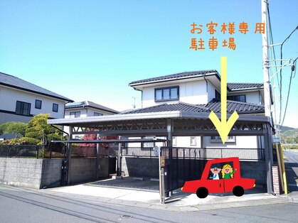 この葉の写真