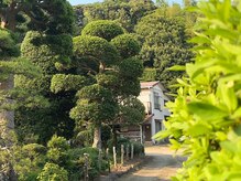 春鍼灸治療室の雰囲気(自然に囲まれた古民家、安心感ある個室空間)