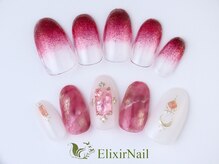 エリクサーネイル 五反田(Elixir Nail)/定額c やり放題／クーポン使用