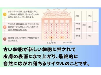 クレアス 勝どき(CREAS)/ターンオーバー正常化に戻すだけ