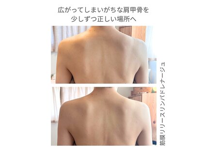 メノウ(menou)の写真