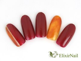 定額a シンプル/クーポン使用