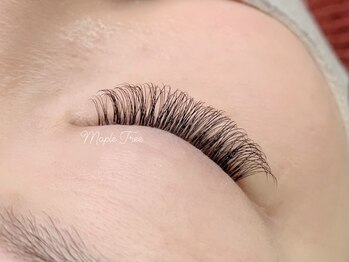 ネイルアンドメイク メイプルツリー(Nail & Make Maple Tree)/3Dボリュームラッシュ