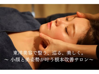 ドクター ヴィーナスの写真