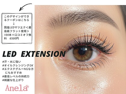 アネラ 柏(Anela)の写真