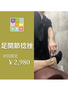 ウェライフ整骨院 大泉学園 新座/施術メニュー