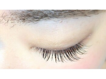 ルチア(Lucia)/カラーmix140本