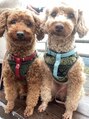 シーズネイル(She's nail) 大好きな愛犬達です^_^