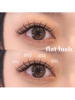 ダリア(DAHLIA)/フラットラッシュ140本