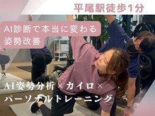 ポスチャー(Posture)