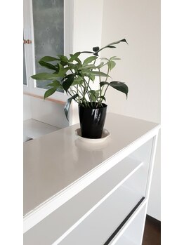 ポラリス整体院/プレゼントいただきました(^-^)