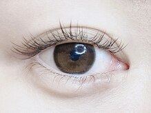 ローラント(LAURENT)/フラットラッシュ 120本