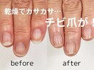 地爪育成コース【3ヵ月(全8回)】