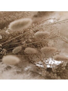 エムクオリティ(M-Quality)/