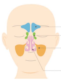ラ ヴィ リッシュ(La vie riche)/辛い花粉シーズン到来…