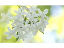 季節毎に代わる癒しの香りに包まれながら、お身体のリセットを