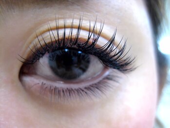 ドルチェ(DOLCE)/-アイライン不要付け放題-