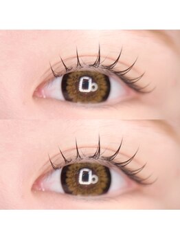 ブランシュ(blanche)/フラット80本