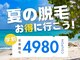 フェルナ 南森町店(FERNA)の写真