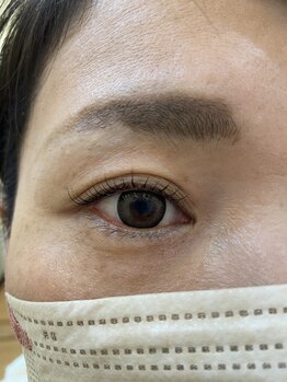 プルメリア(Plumeria)/立ち上げカール