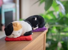 休べぇ。の雰囲気（当店の飼い猫ぶちとくろです。）