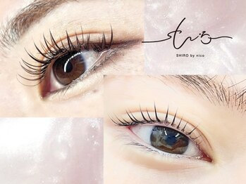 シロ バイ ニコ アイラッシュ(SHIRO by nico eyelash)