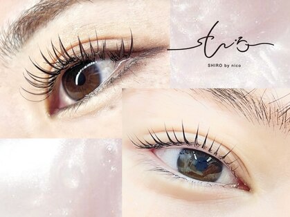 シロ バイ ニコ アイラッシュ(SHIRO by nico eyelash)の写真