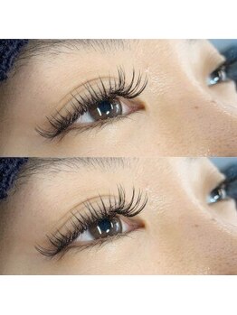 ブロッサ(Blossa)/フラットラッシュ180本