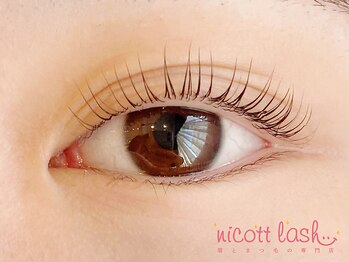 ニコットラッシュ 天王寺店(nicott lash)/まつげパーマ［天王寺・マツパ］