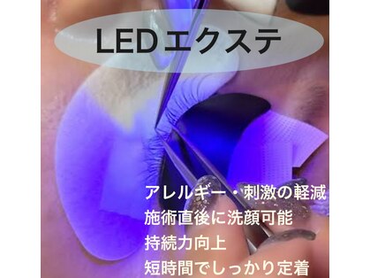 リンク(Link)の写真
