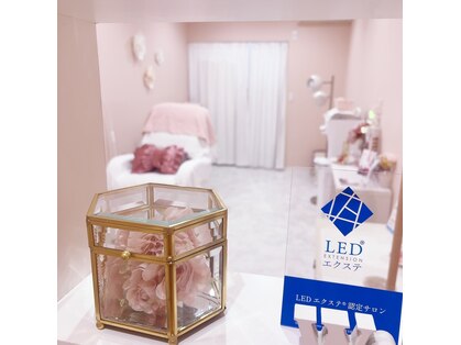 エイミー(Amy)の写真