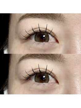 シー 鷺沼(sii)/フラットラッシュ100本