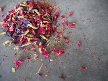 リトリート(Retreat)/花びらのまま実のまま