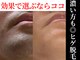 フェリス(FELIZ)の写真