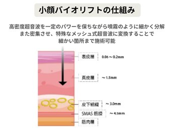 ルディラ 大宮店/小顔バイオリフト