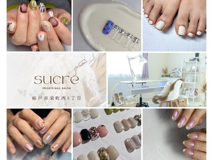 シュクレ(sucre)の写真